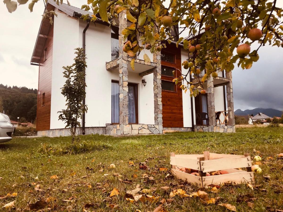 Vila Montenegrina Kolasin Ngoại thất bức ảnh